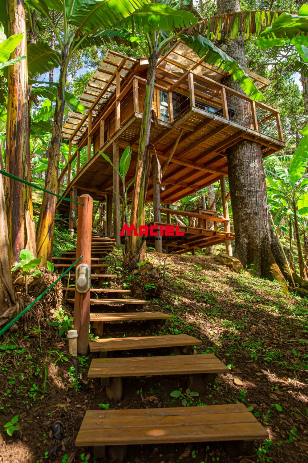 Comprar Rural / S&iacute;tio em S&atilde;o Bento do Sapuca&iacute; R$ 3.500.000,00 - Foto 17