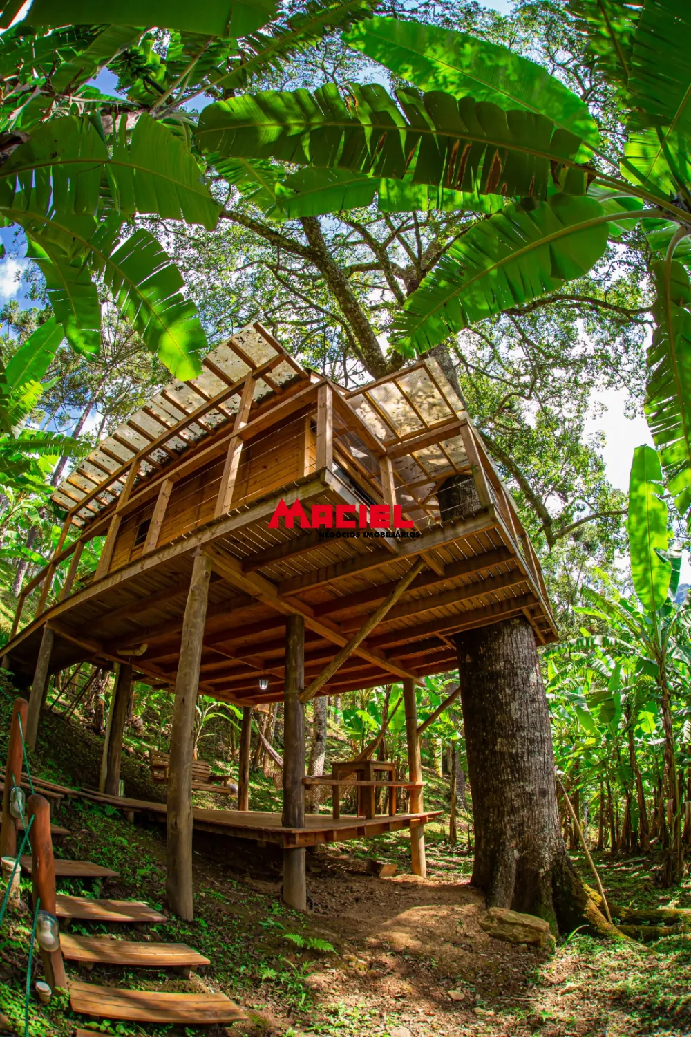 Comprar Rural / S&iacute;tio em S&atilde;o Bento do Sapuca&iacute; R$ 3.500.000,00 - Foto 18