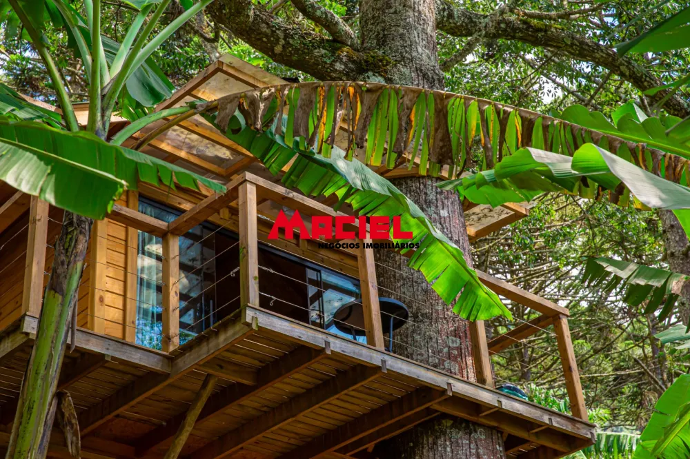 Comprar Rural / S&iacute;tio em S&atilde;o Bento do Sapuca&iacute; R$ 3.500.000,00 - Foto 19