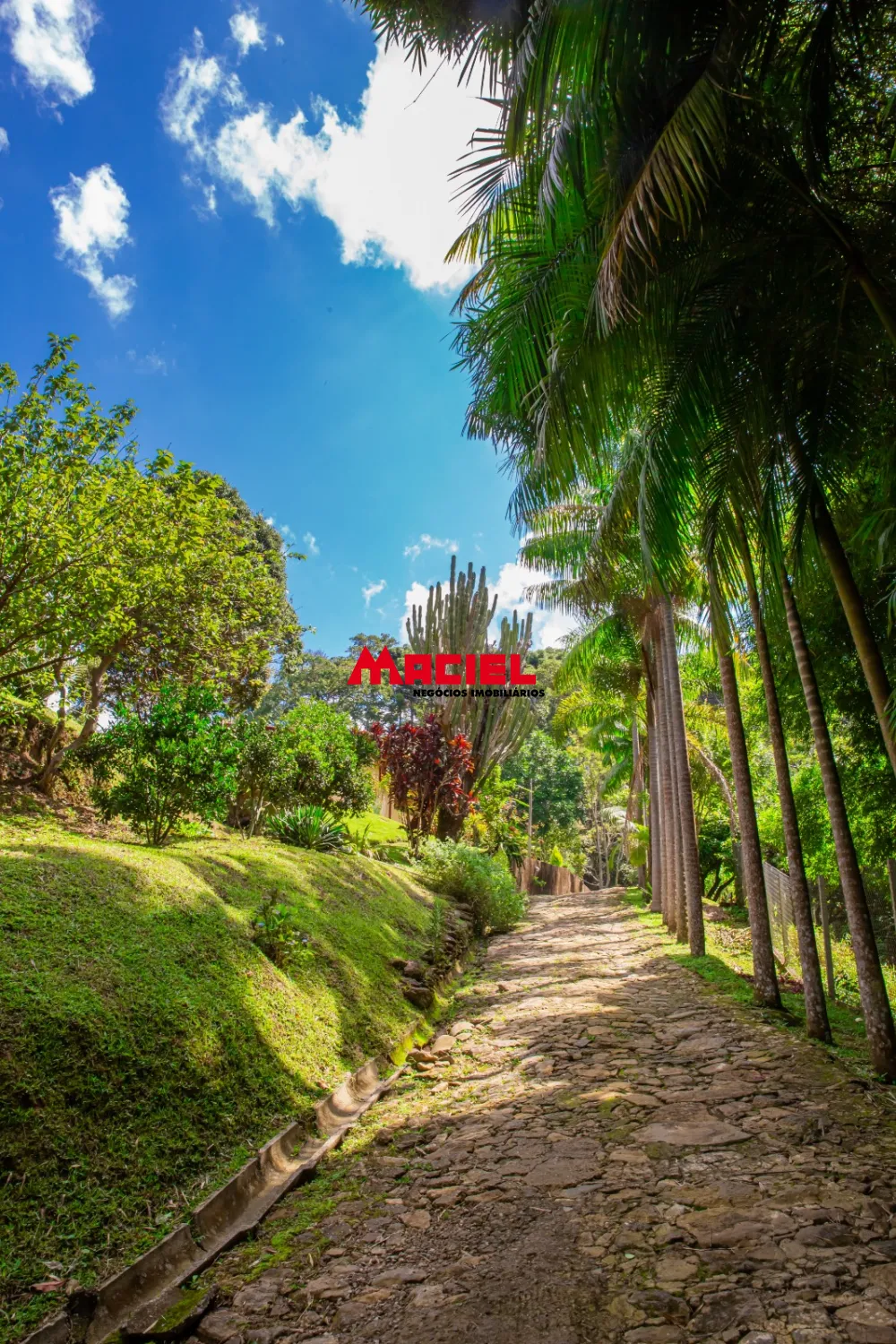 Comprar Rural / S&iacute;tio em S&atilde;o Bento do Sapuca&iacute; R$ 3.500.000,00 - Foto 42