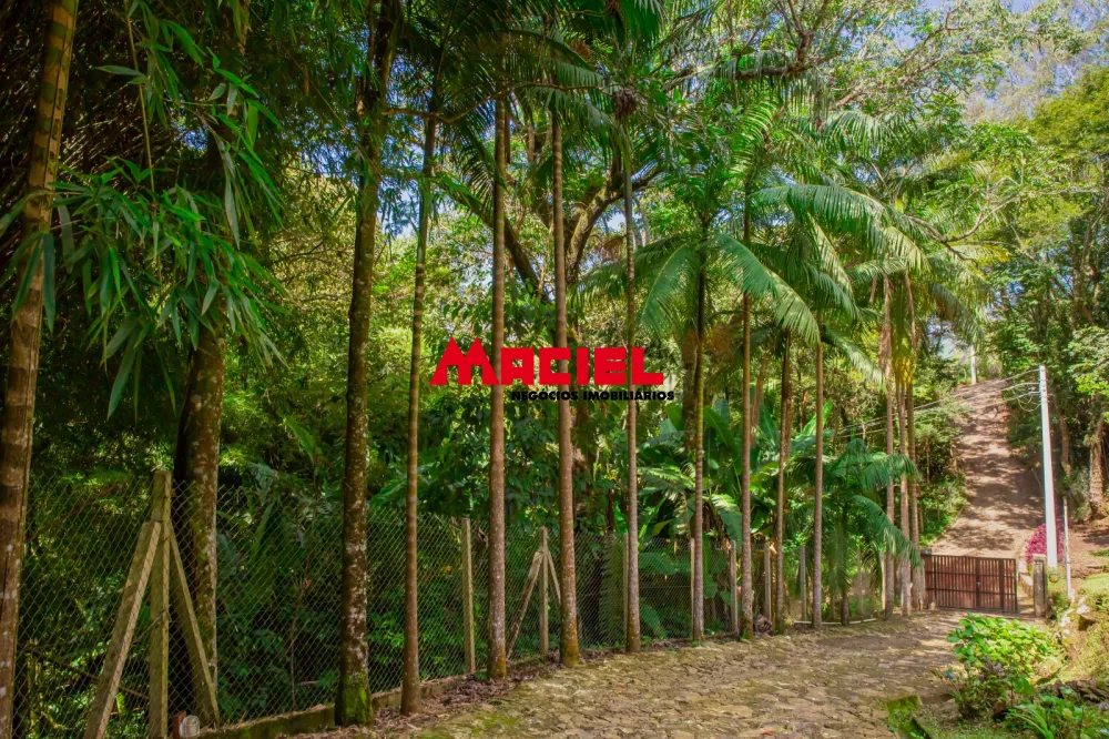 Comprar Rural / S&iacute;tio em S&atilde;o Bento do Sapuca&iacute; R$ 3.500.000,00 - Foto 43