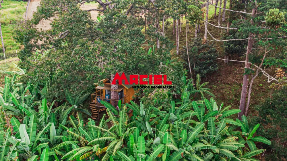 Comprar Rural / S&iacute;tio em S&atilde;o Bento do Sapuca&iacute; R$ 3.500.000,00 - Foto 53