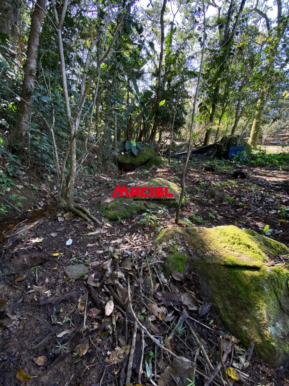 Comprar Rural / S&iacute;tio em S&atilde;o Jos&eacute; dos Campos R$ 1.700.000,00 - Foto 31