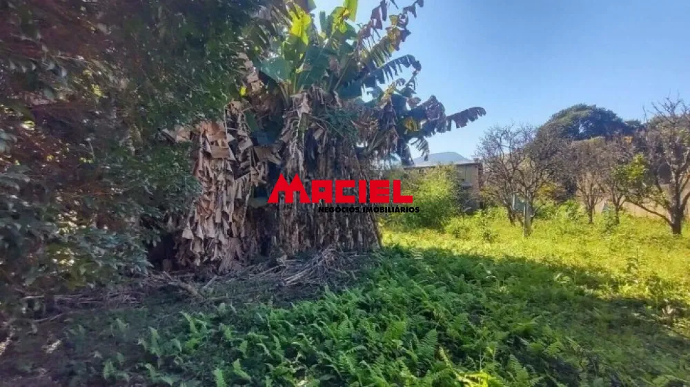 Comprar Rural / Ch&aacute;cara em S&atilde;o Bento do Sapuca&iacute; R$ 880.000,00 - Foto 22