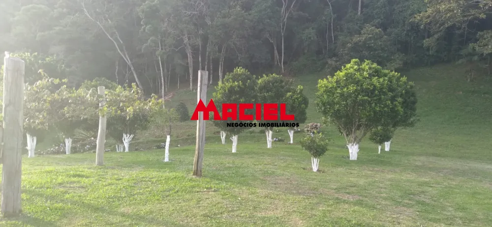 Comprar Rural / S&iacute;tio em Parais&oacute;polis R$ 1.300.000,00 - Foto 16