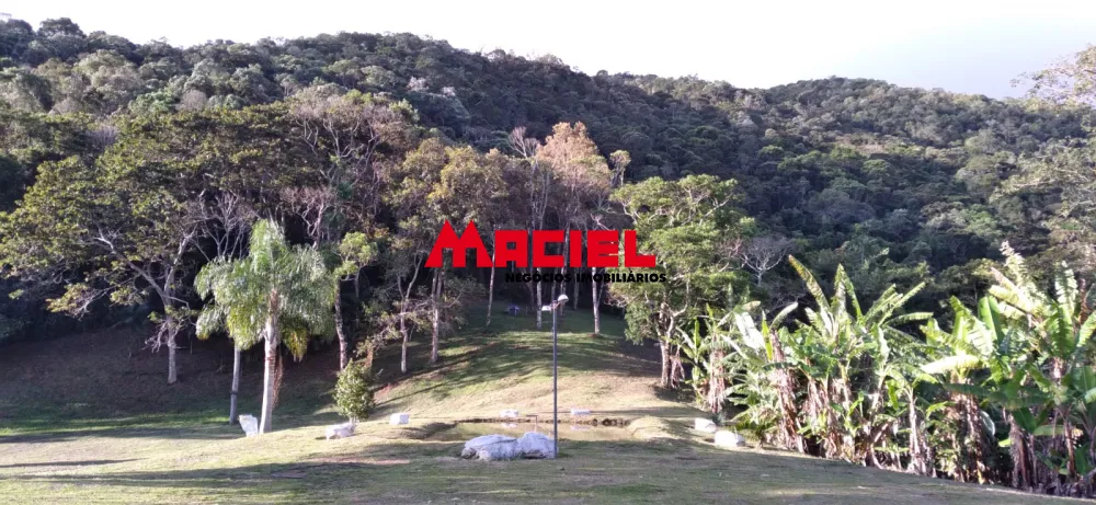 Comprar Rural / S&iacute;tio em Parais&oacute;polis R$ 1.300.000,00 - Foto 28