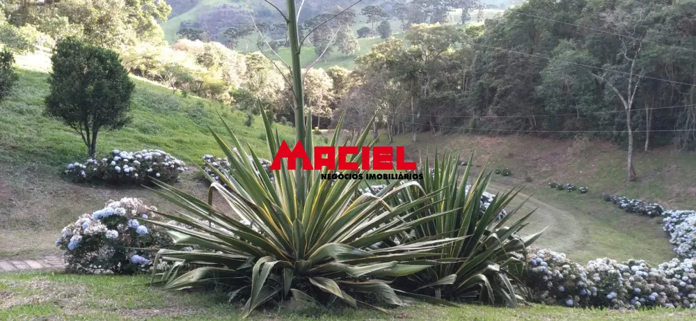 Comprar Rural / S&iacute;tio em Parais&oacute;polis R$ 1.300.000,00 - Foto 29