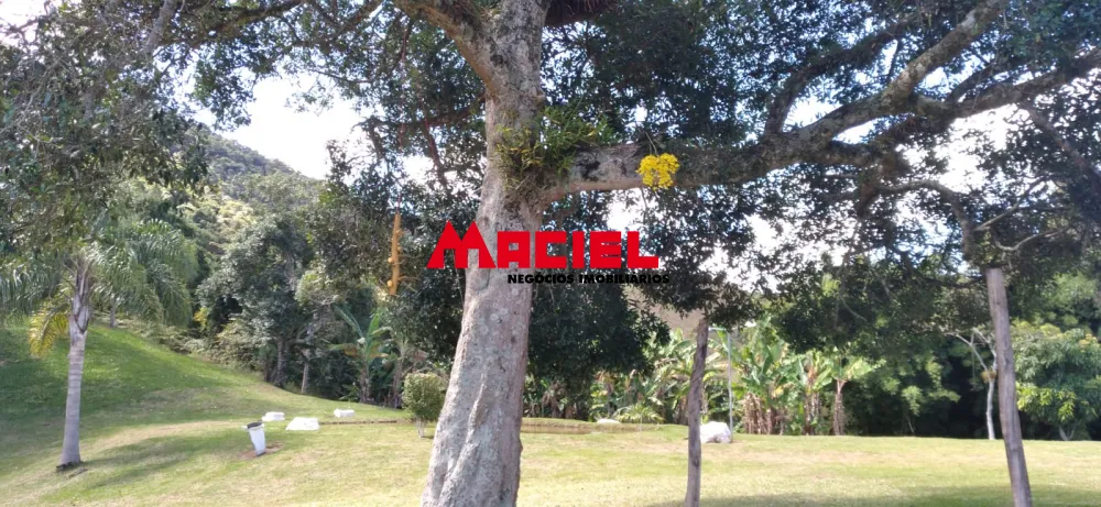 Comprar Rural / S&iacute;tio em Parais&oacute;polis R$ 1.300.000,00 - Foto 31