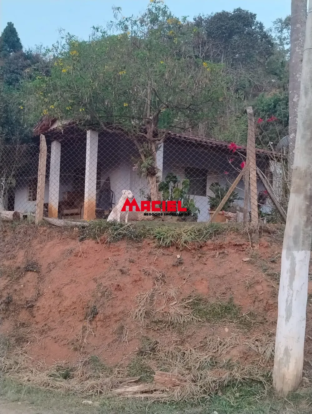 Comprar Rural / Ch&aacute;cara em Jambeiro R$ 480.000,00 - Foto 3