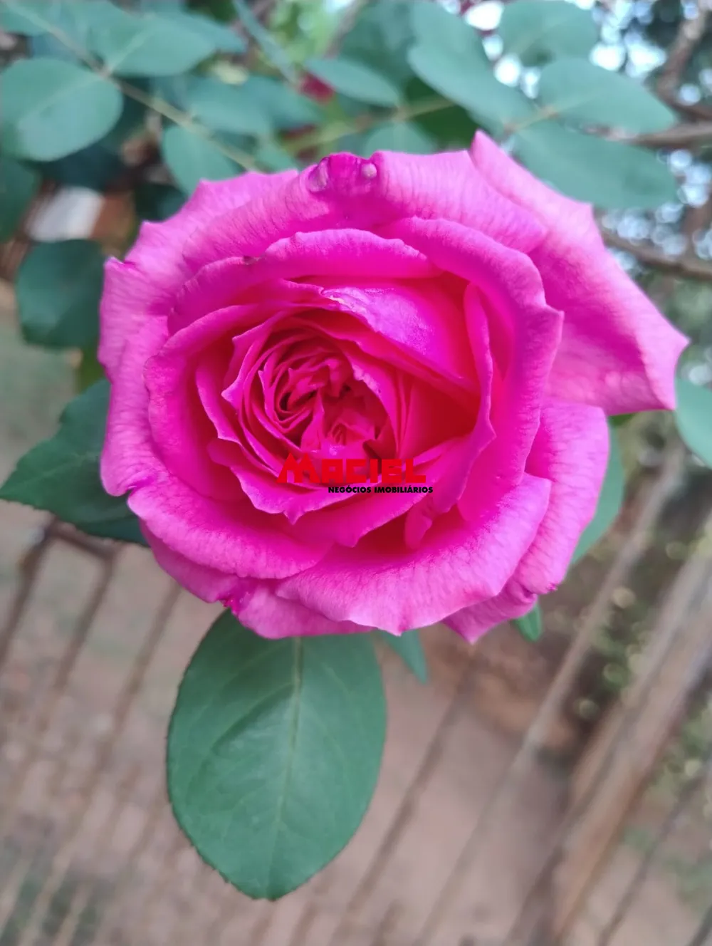 Comprar Rural / Ch&aacute;cara em Jambeiro R$ 480.000,00 - Foto 7