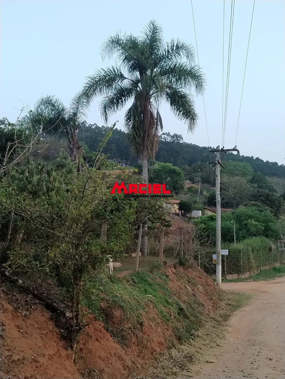 Comprar Rural / Ch&aacute;cara em Jambeiro R$ 480.000,00 - Foto 12