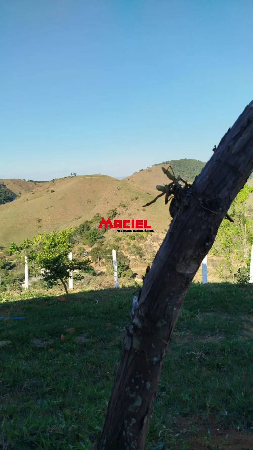 Comprar Rural / Ch&aacute;cara em S&atilde;o Jos&eacute; dos Campos R$ 750.000,00 - Foto 15