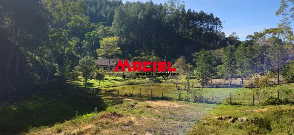 Comprar Rural / Fazenda, S&iacute;tio e Ch&aacute;cara em Natividade da Serra R$ 1.250.000,00 - Foto 33