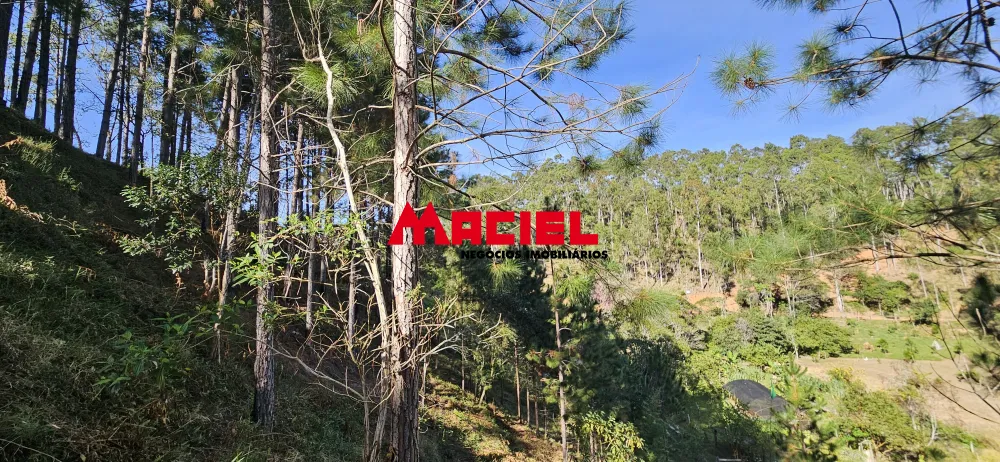 Comprar Rural / Fazenda, S&iacute;tio e Ch&aacute;cara em Natividade da Serra R$ 1.250.000,00 - Foto 47