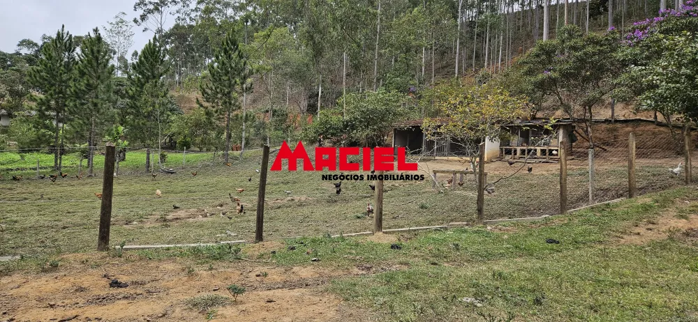 Comprar Rural / Fazenda, S&iacute;tio e Ch&aacute;cara em Natividade da Serra R$ 1.250.000,00 - Foto 68
