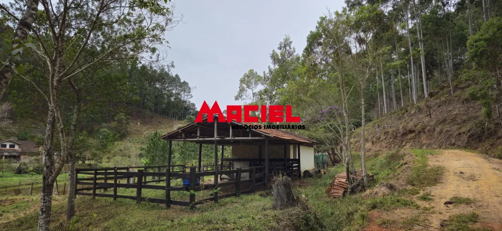 Comprar Rural / Fazenda, S&iacute;tio e Ch&aacute;cara em Natividade da Serra R$ 1.250.000,00 - Foto 70