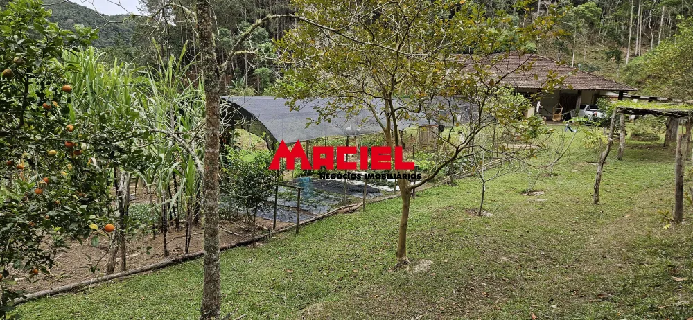 Comprar Rural / Fazenda, S&iacute;tio e Ch&aacute;cara em Natividade da Serra R$ 1.250.000,00 - Foto 71