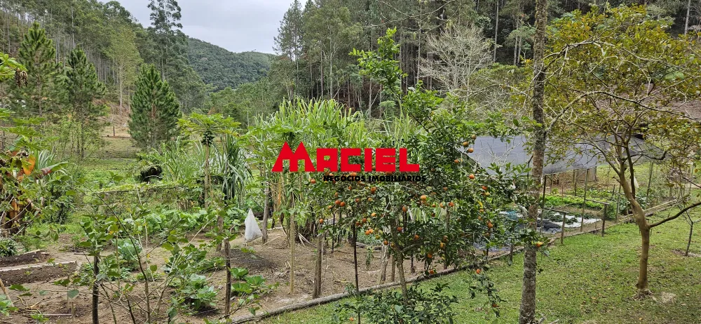 Comprar Rural / Fazenda, S&iacute;tio e Ch&aacute;cara em Natividade da Serra R$ 1.250.000,00 - Foto 73