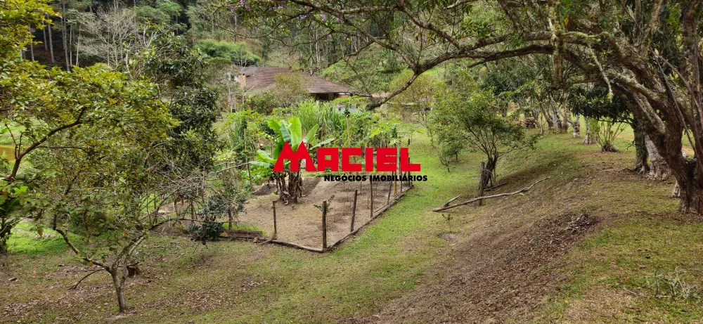 Comprar Rural / Fazenda, S&iacute;tio e Ch&aacute;cara em Natividade da Serra R$ 1.250.000,00 - Foto 78