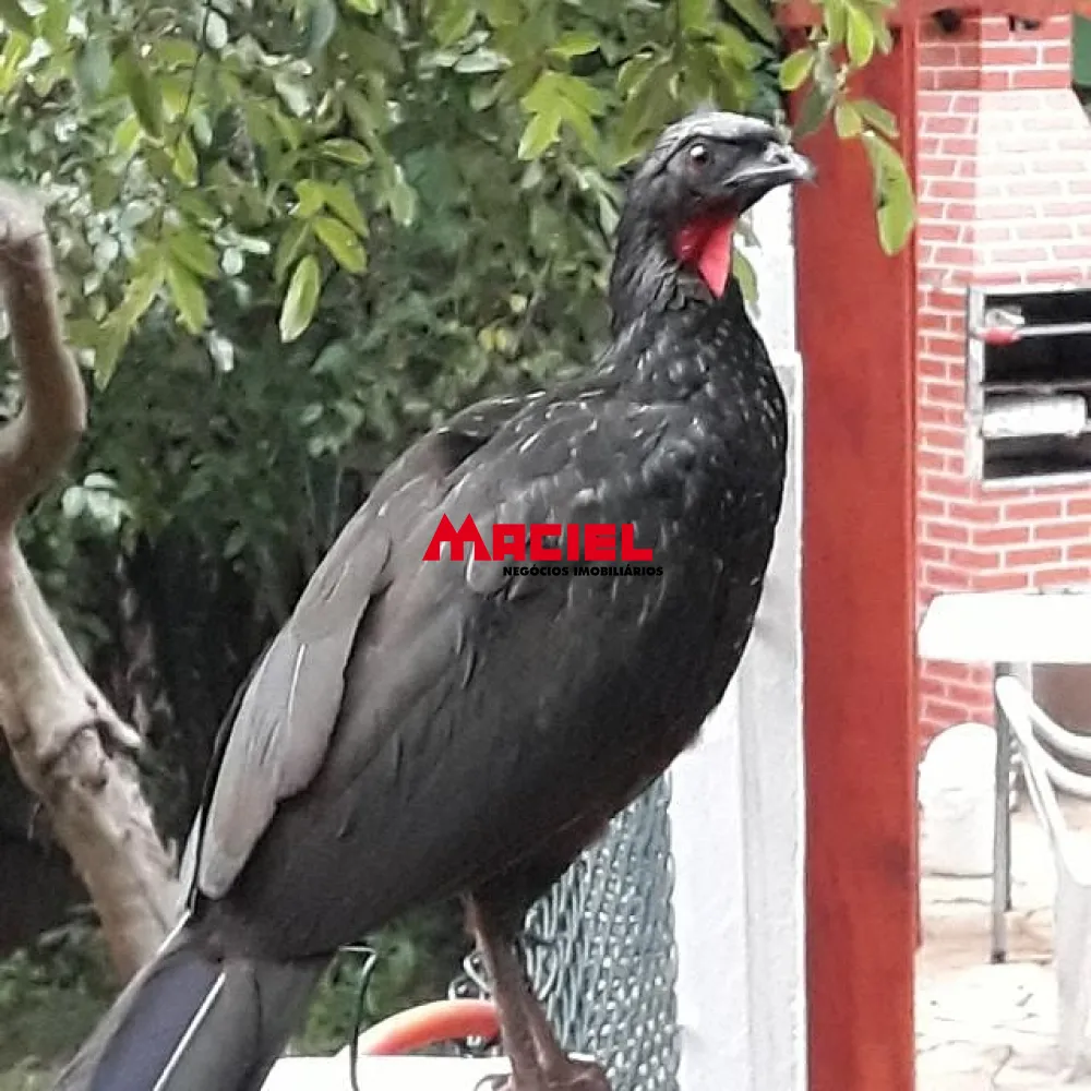 Comprar Rural / S&iacute;tio em S&atilde;o Jos&eacute; dos Campos R$ 780.000,00 - Foto 22