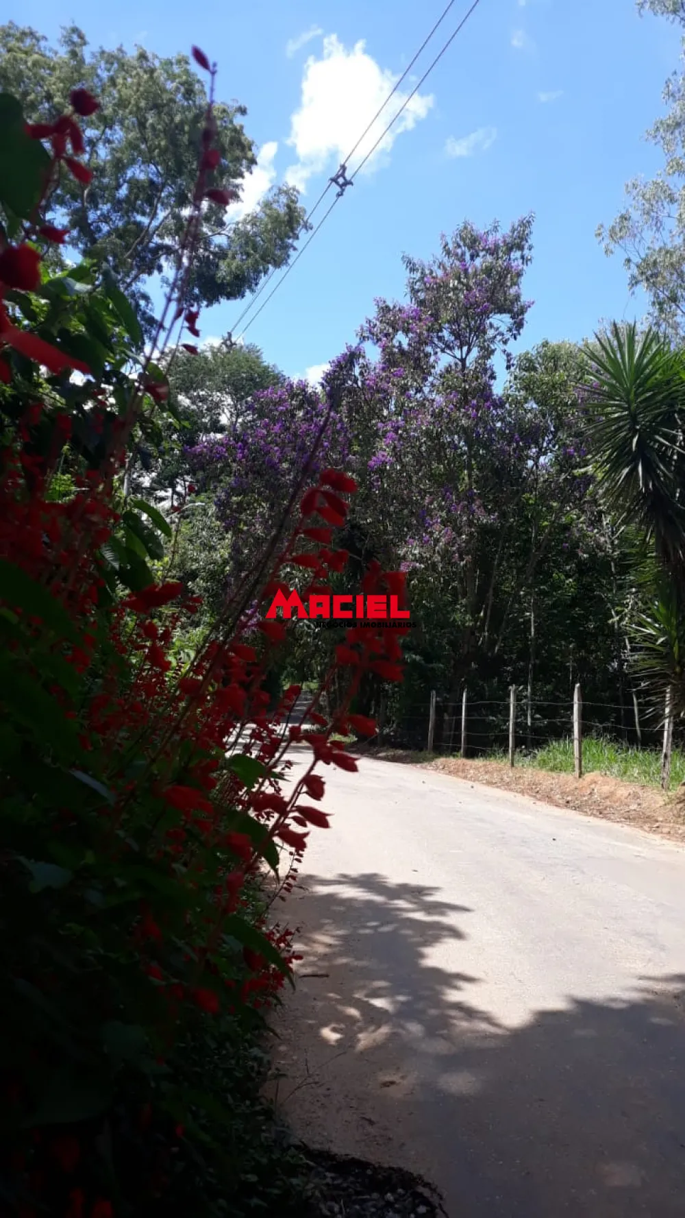 Comprar Rural / S&iacute;tio em S&atilde;o Jos&eacute; dos Campos R$ 780.000,00 - Foto 27