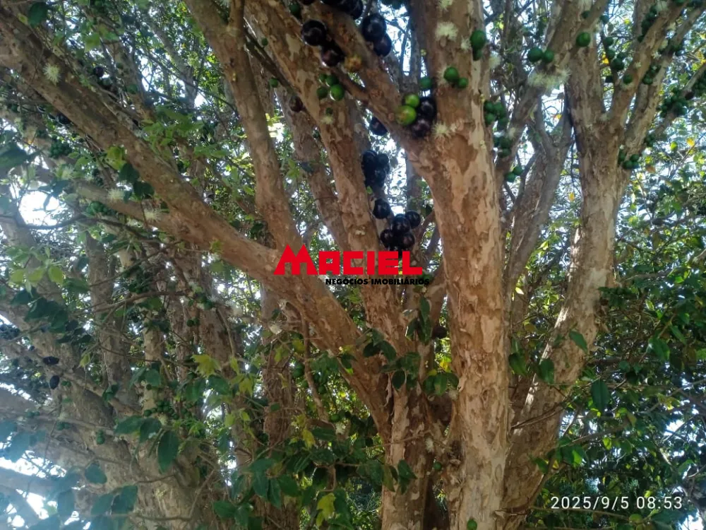 Comprar Rural / Ch&aacute;cara em S&atilde;o Jos&eacute; dos Campos R$ 790.000,00 - Foto 37