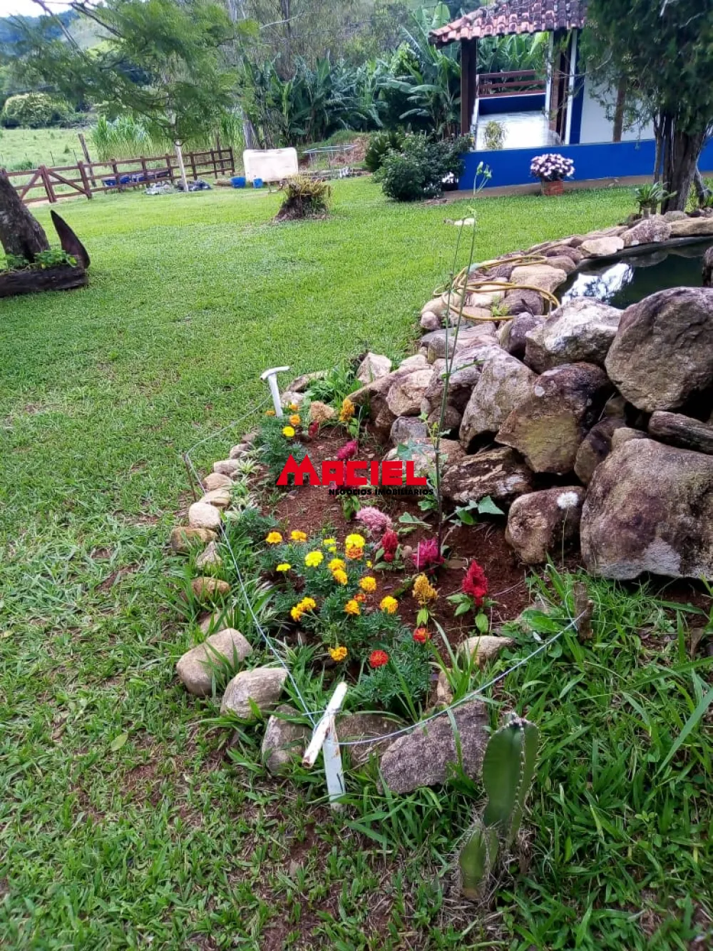 Comprar Rural / Ch&aacute;cara em Virg&iacute;nia R$ 795.000,00 - Foto 8