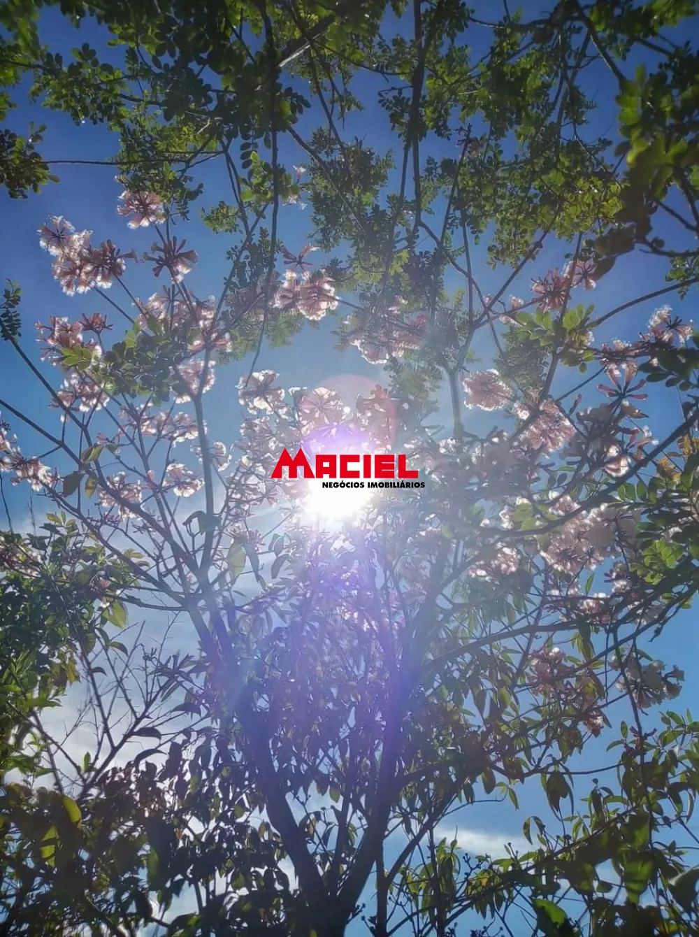 Comprar Rural / Ch&aacute;cara em Virg&iacute;nia R$ 795.000,00 - Foto 15