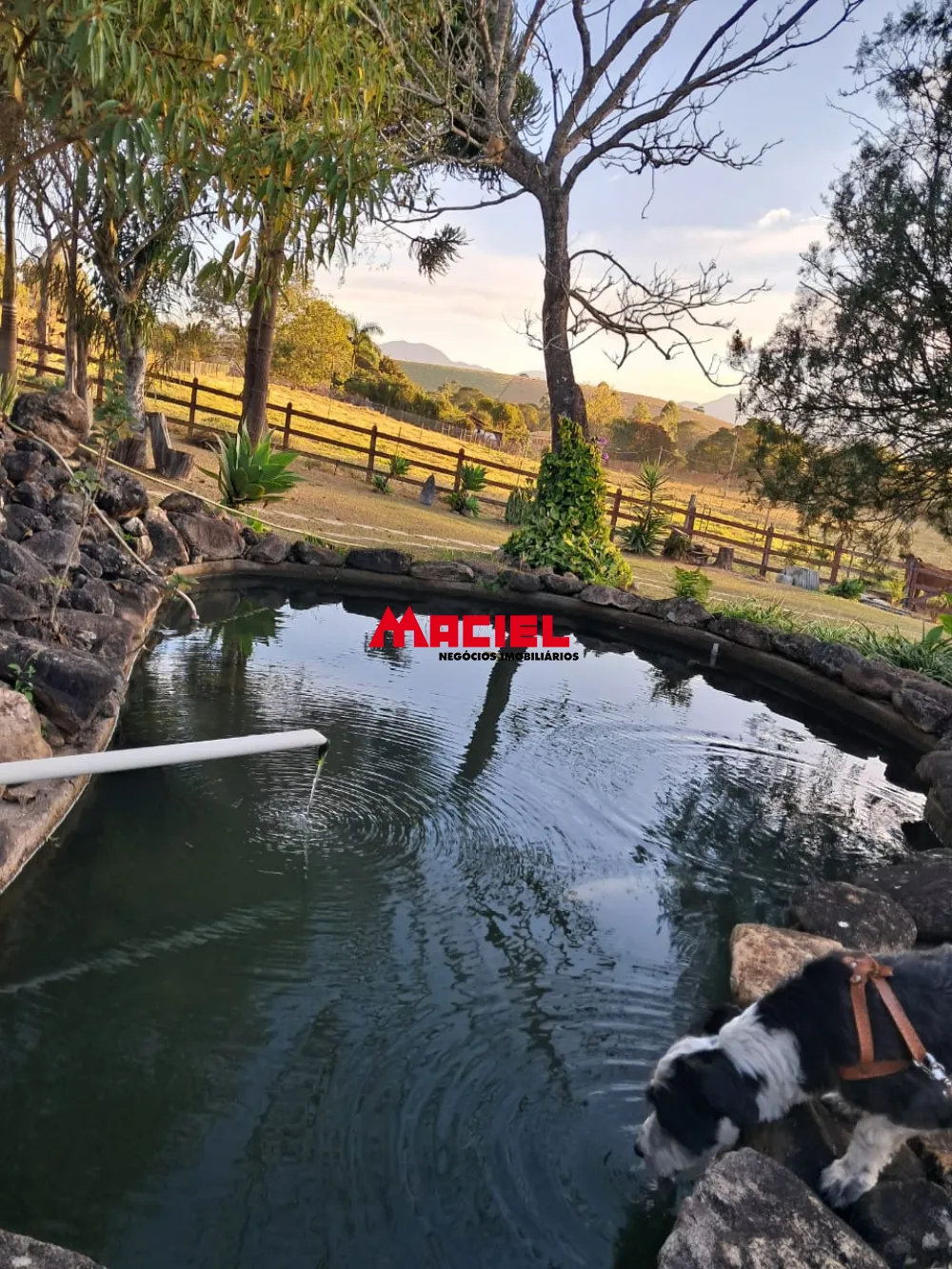 Comprar Rural / Ch&aacute;cara em Virg&iacute;nia R$ 795.000,00 - Foto 36