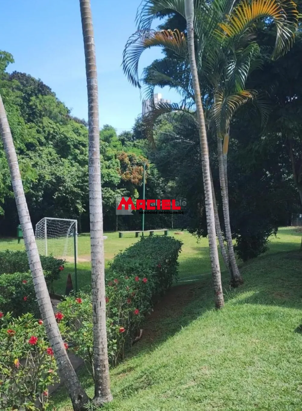 Alugar Apartamento / Padr&atilde;o em S&atilde;o Jos&eacute; dos Campos R$ 900,00 - Foto 2