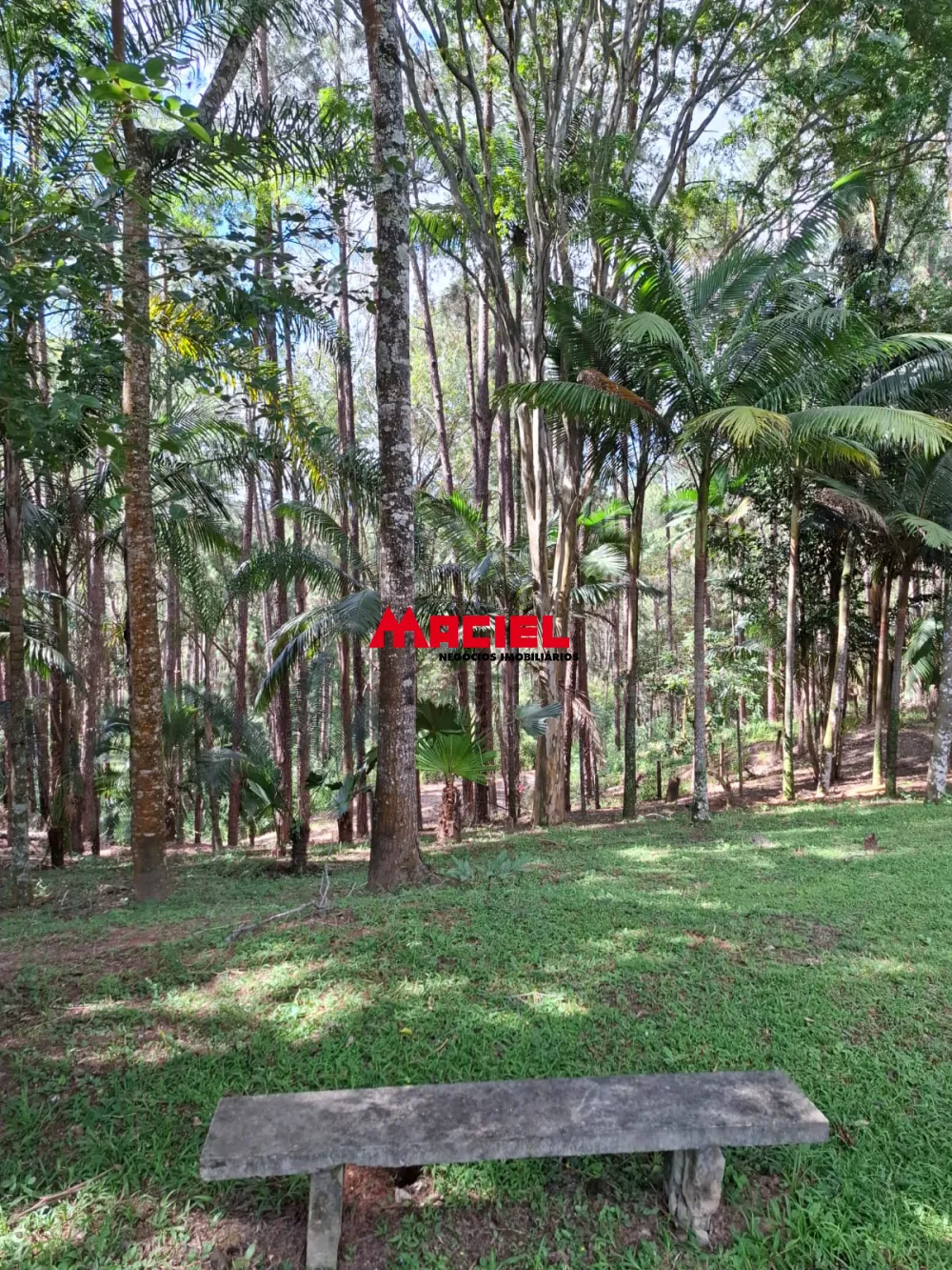Comprar Rural / Ch&aacute;cara em S&atilde;o Jos&eacute; dos Campos R$ 3.000.000,00 - Foto 63