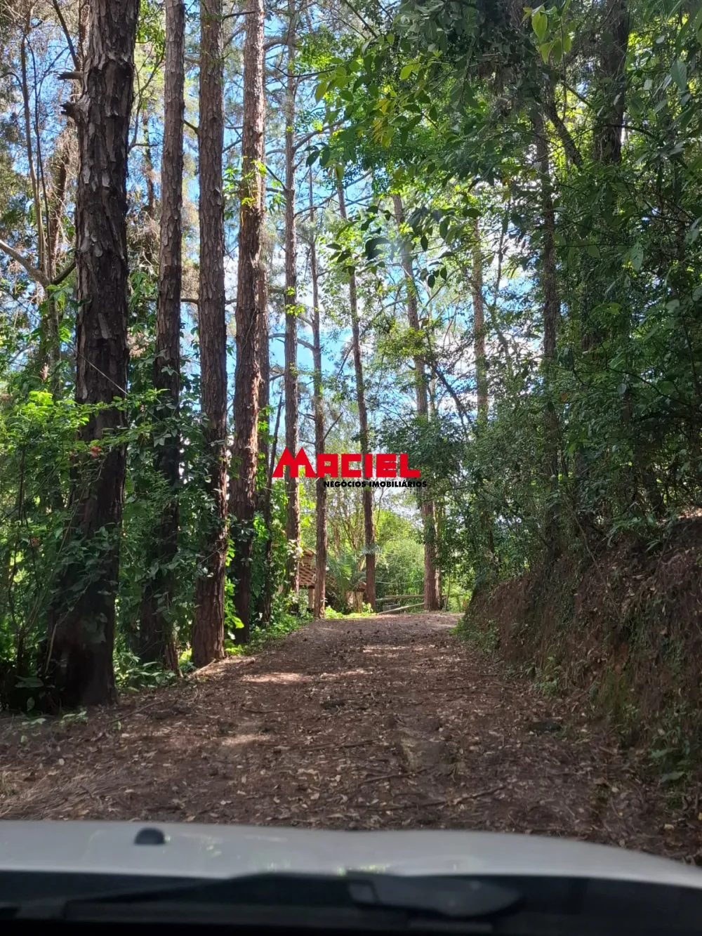 Comprar Rural / Ch&aacute;cara em S&atilde;o Jos&eacute; dos Campos R$ 3.000.000,00 - Foto 67