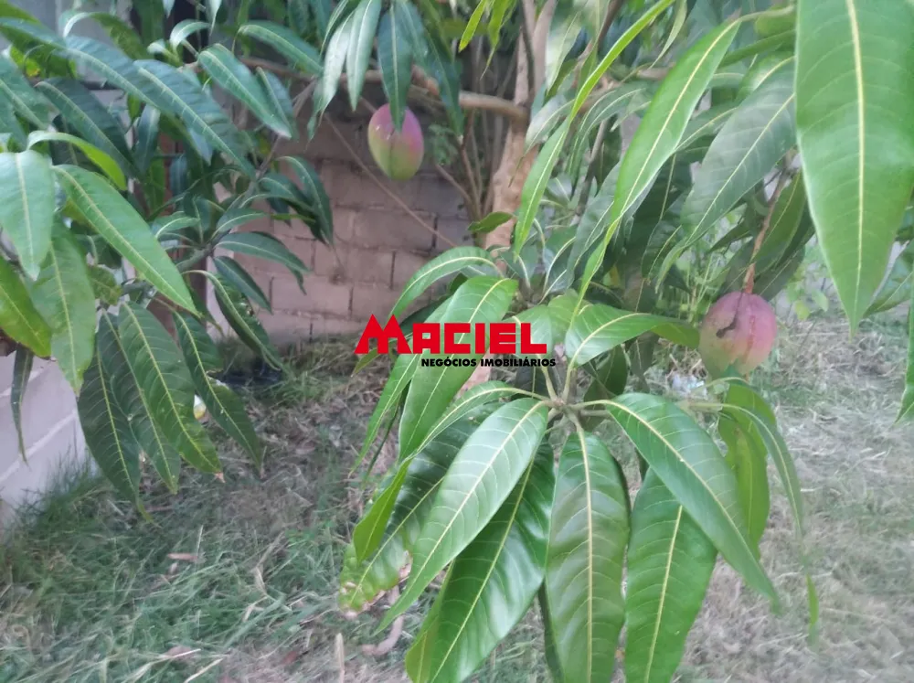 Comprar Rural / Ch&aacute;cara em Ca&ccedil;apava R$ 270.000,00 - Foto 11