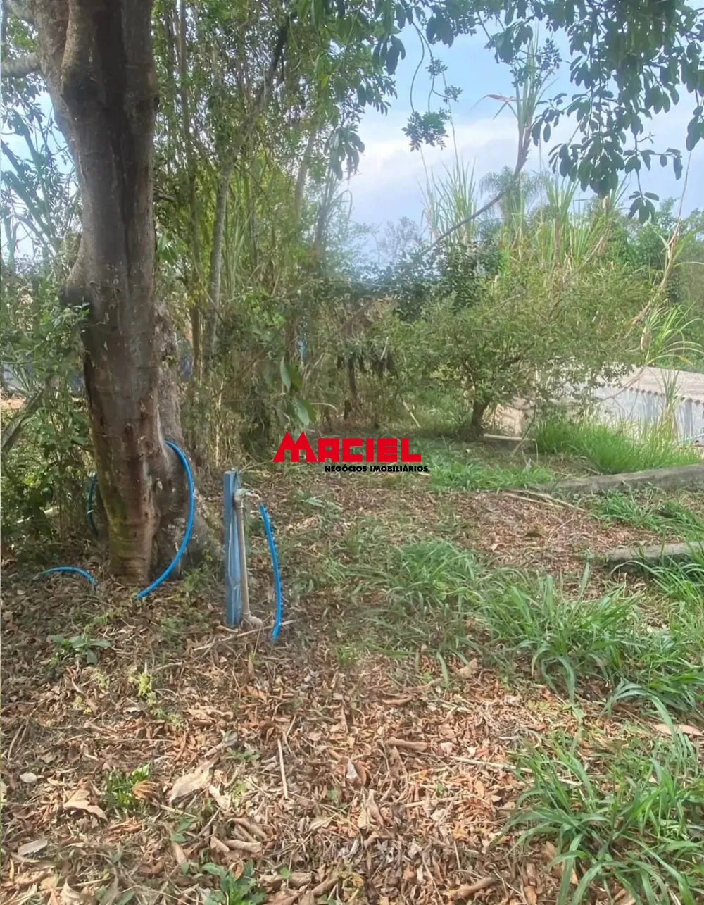Comprar Rural / Ch&aacute;cara em Santa Isabel R$ 318.000,00 - Foto 18