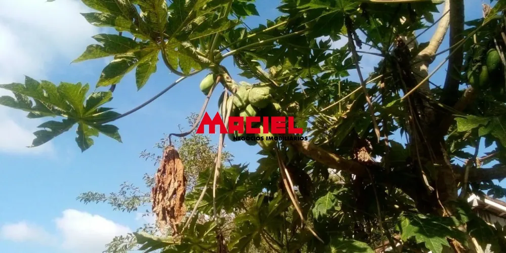 Comprar Rural / Fazenda, S&iacute;tio e Ch&aacute;cara em Jacare&iacute; R$ 880.000,00 - Foto 19