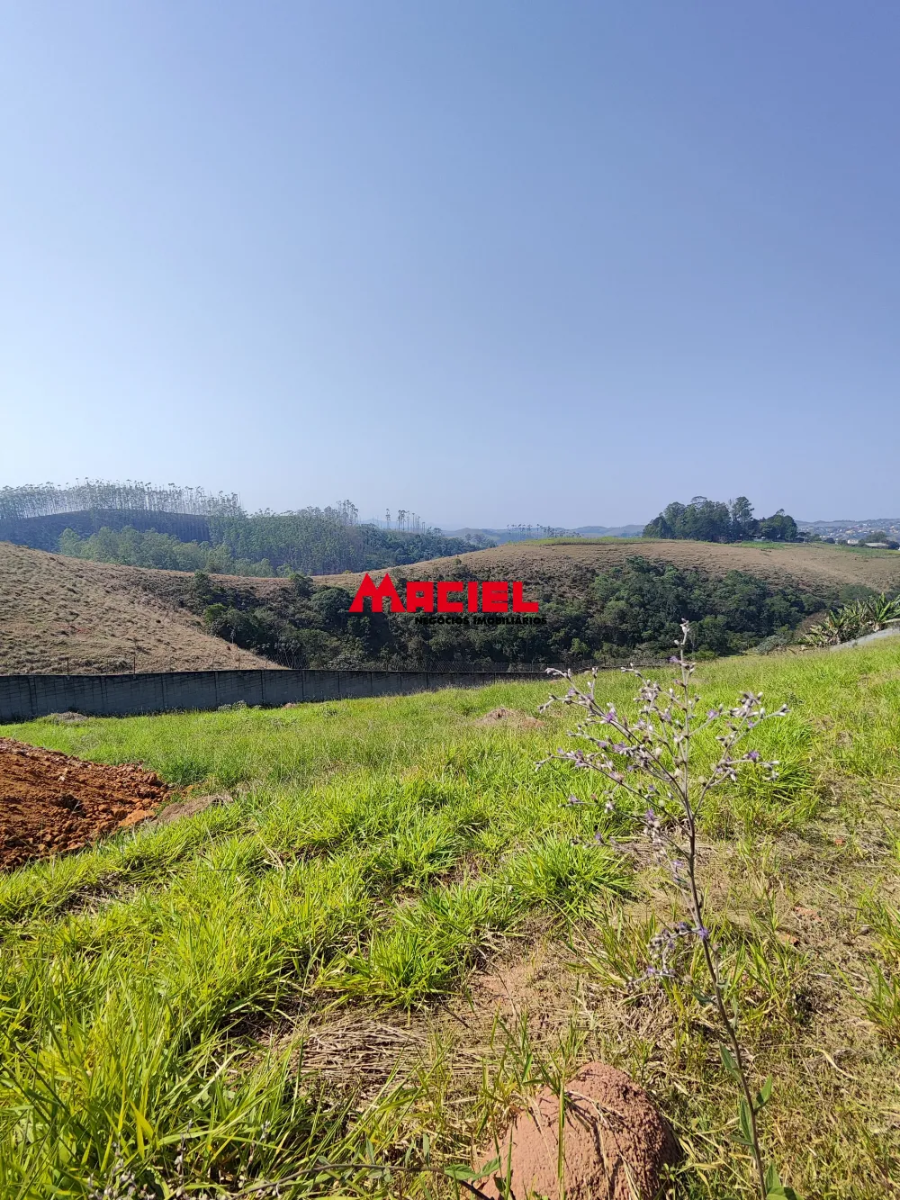 Comprar Terreno / Condom&iacute;nio em S&atilde;o Jos&eacute; dos Campos R$ 590.000,00 - Foto 8