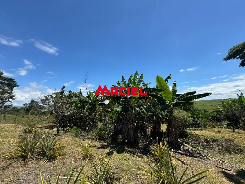 Comprar Rural / Ch&aacute;cara em Ca&ccedil;apava R$ 910.000,00 - Foto 14