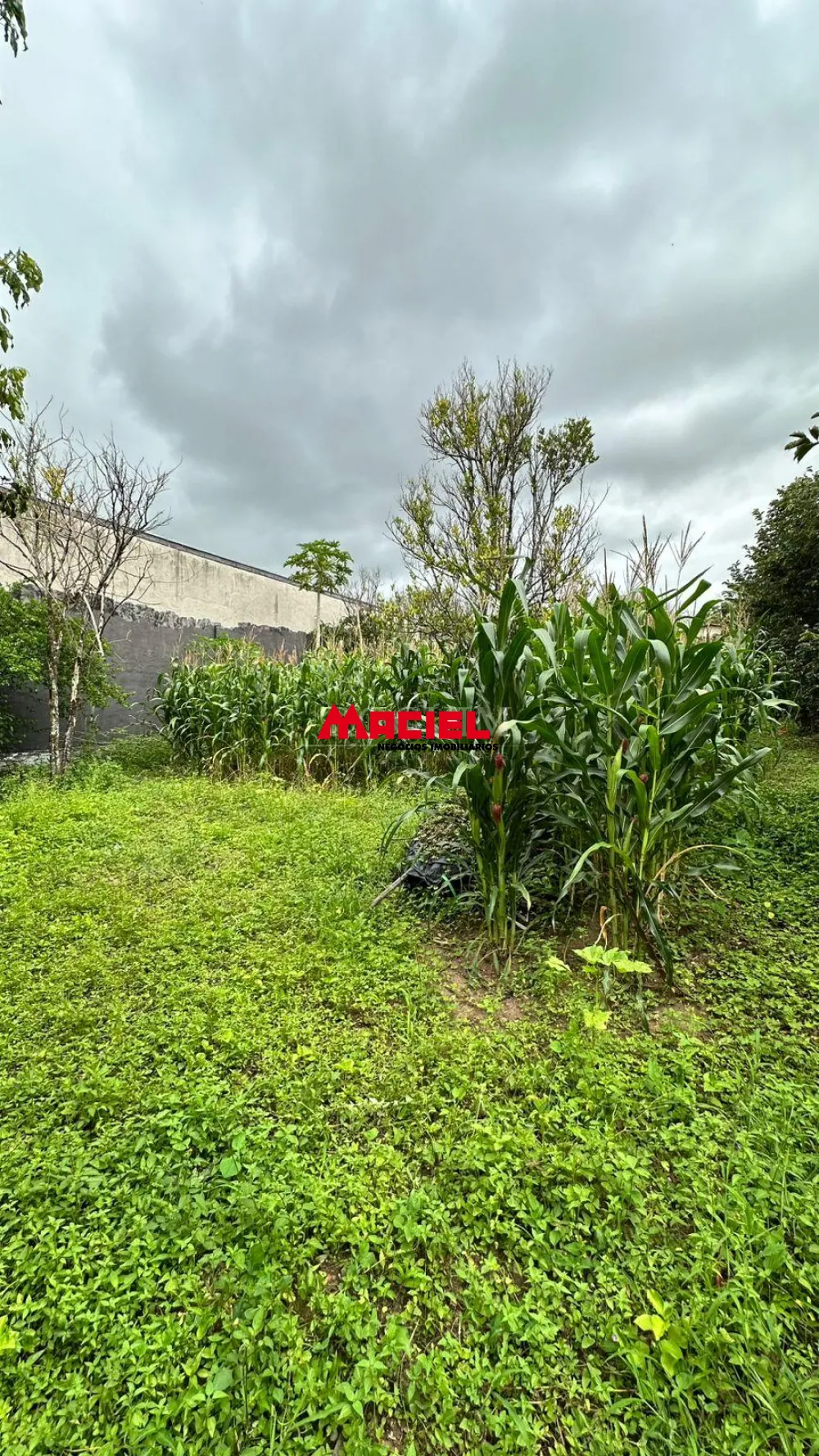 Comprar Rural / Ch&aacute;cara em S&atilde;o Jos&eacute; dos Campos R$ 990.000,00 - Foto 7