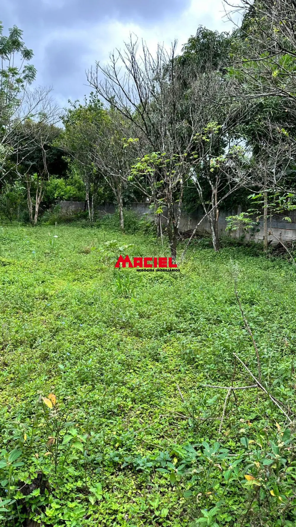 Comprar Rural / Ch&aacute;cara em S&atilde;o Jos&eacute; dos Campos R$ 990.000,00 - Foto 4