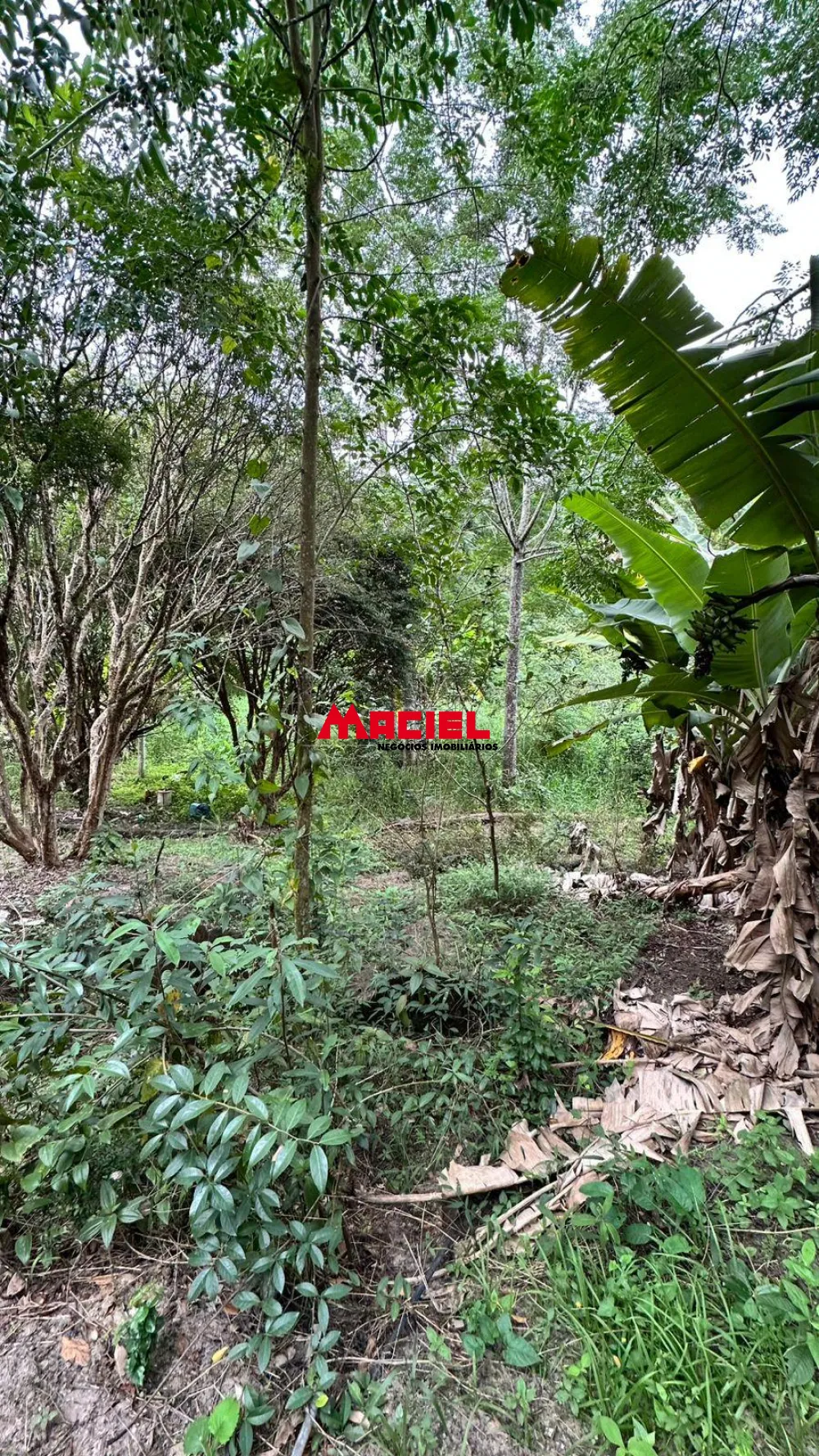Comprar Rural / Ch&aacute;cara em S&atilde;o Jos&eacute; dos Campos R$ 990.000,00 - Foto 12