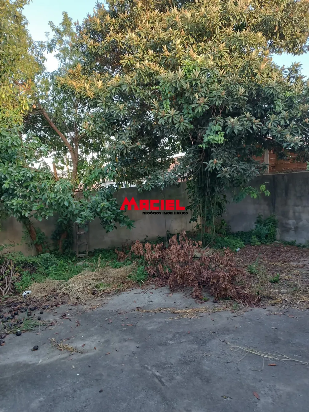 Alugar Casa / Padr&atilde;o em S&atilde;o Jos&eacute; dos Campos R$ 1.600,00 - Foto 13
