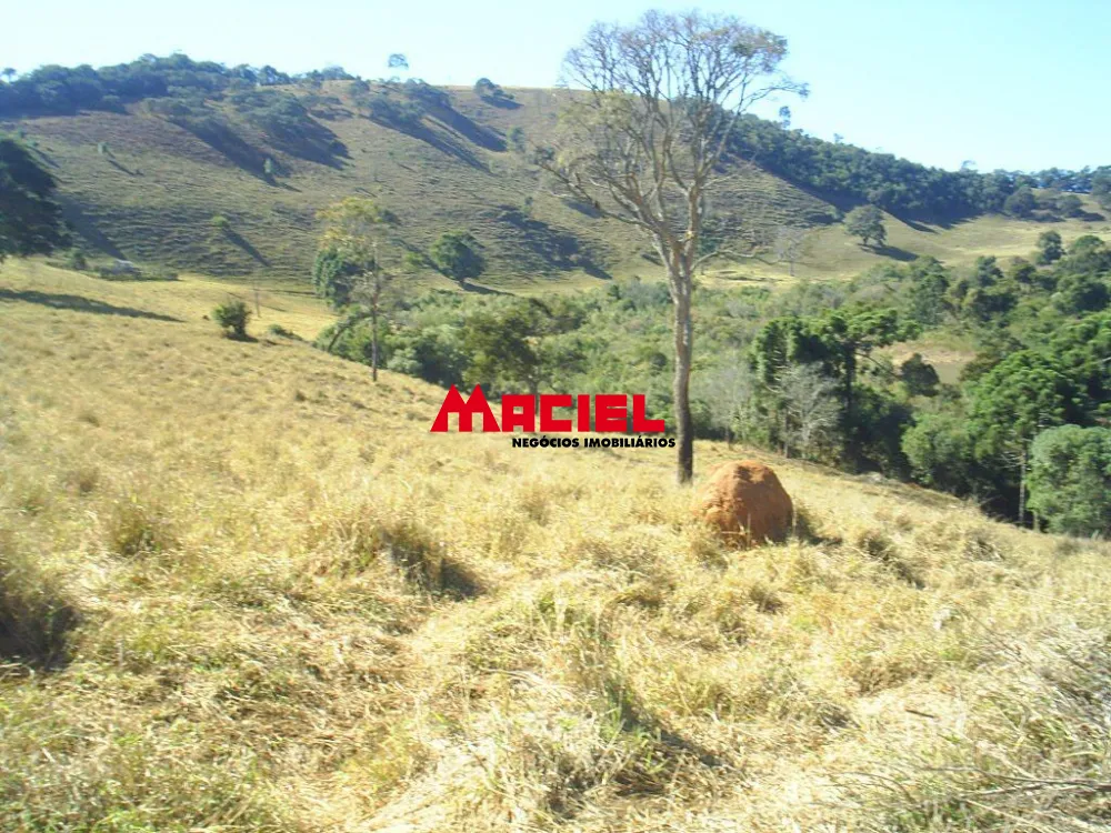 Comprar Rural / S&iacute;tio em Aiuruoca R$ 450.000,00 - Foto 8