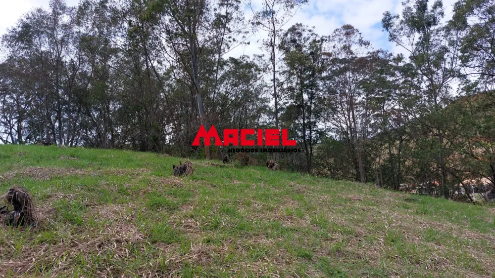 Comprar Rural / Ch&aacute;cara em Paraibuna R$ 230.000,00 - Foto 3