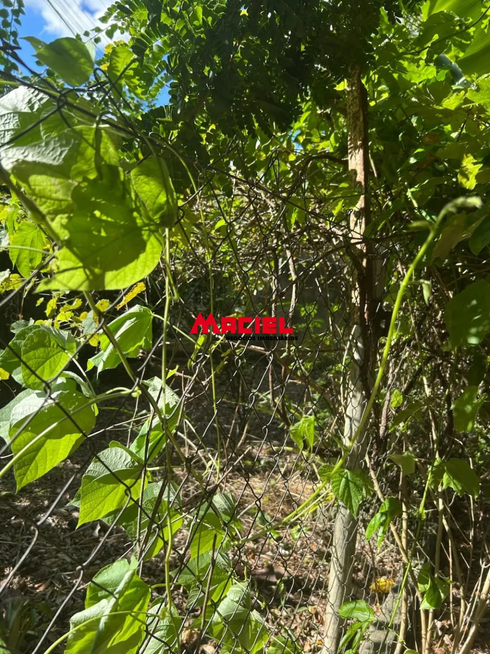 Comprar Rural / Ch&aacute;cara em S&atilde;o Jos&eacute; dos Campos R$ 650.000,00 - Foto 1