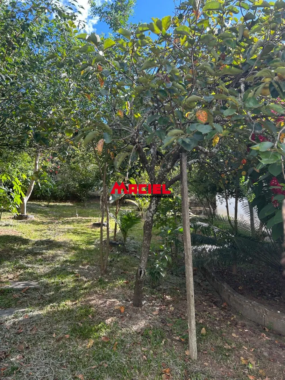 Comprar Rural / Ch&aacute;cara em S&atilde;o Jos&eacute; dos Campos R$ 650.000,00 - Foto 2