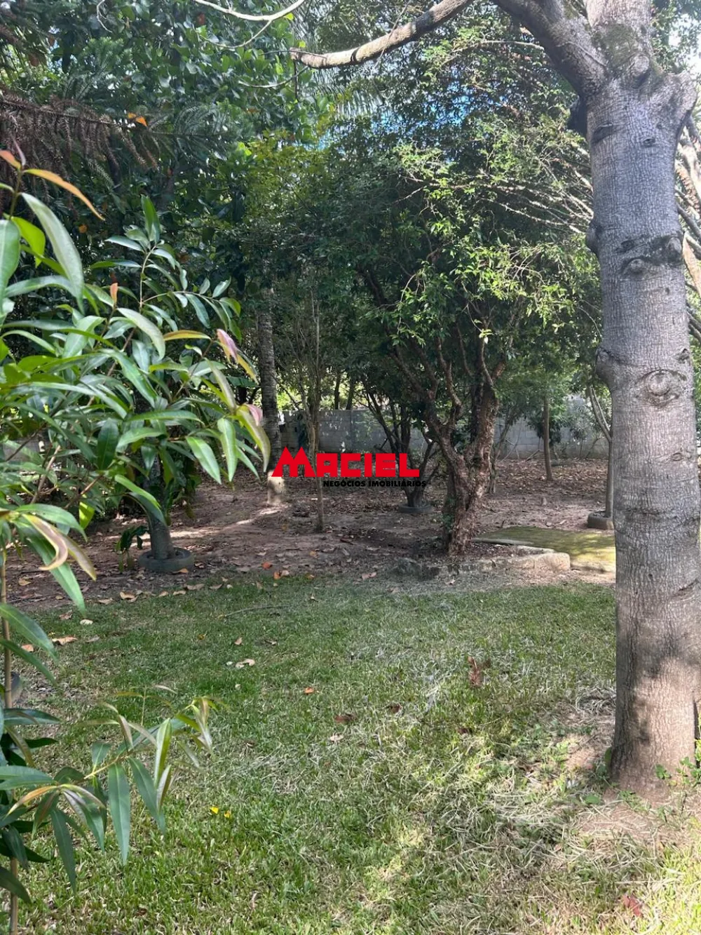 Comprar Rural / Ch&aacute;cara em S&atilde;o Jos&eacute; dos Campos R$ 650.000,00 - Foto 4