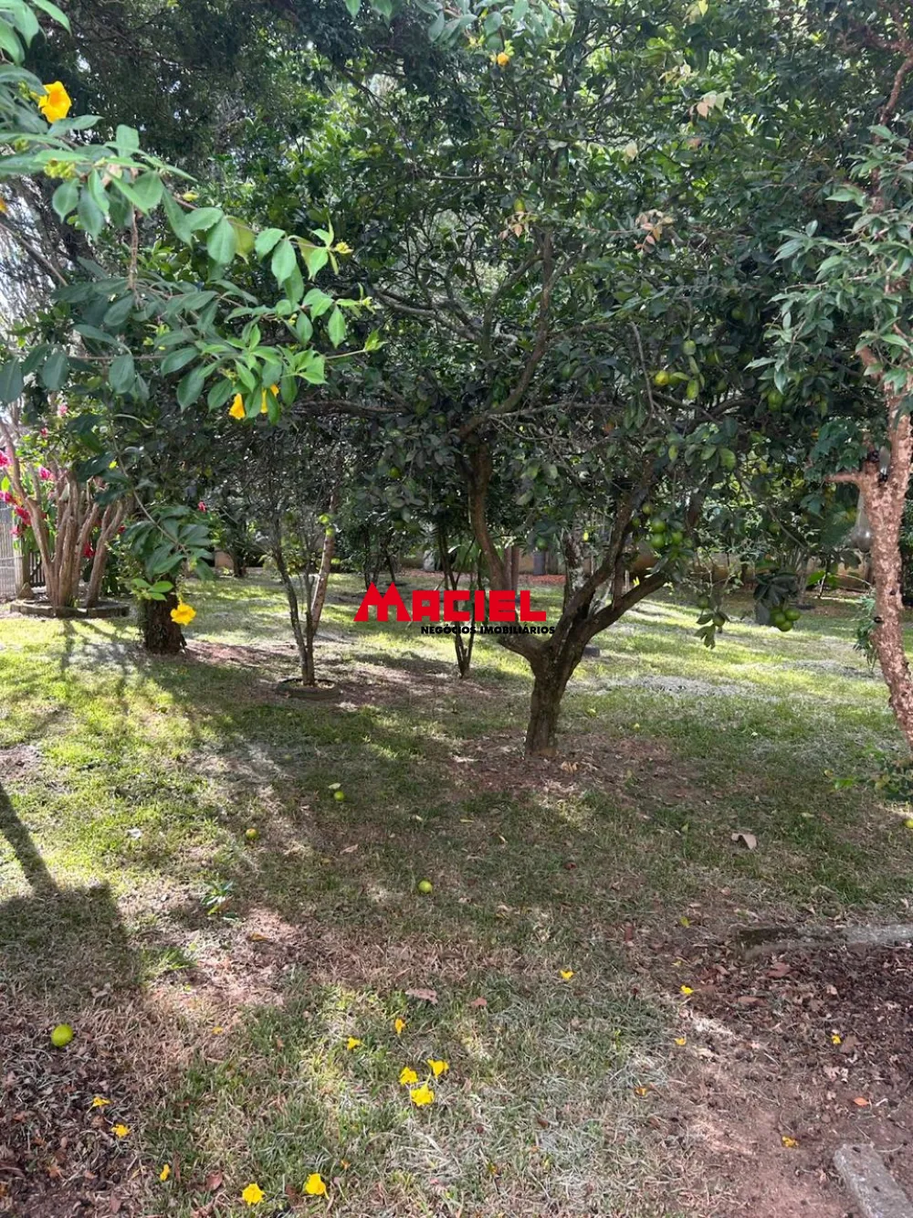 Comprar Rural / Ch&aacute;cara em S&atilde;o Jos&eacute; dos Campos R$ 650.000,00 - Foto 11