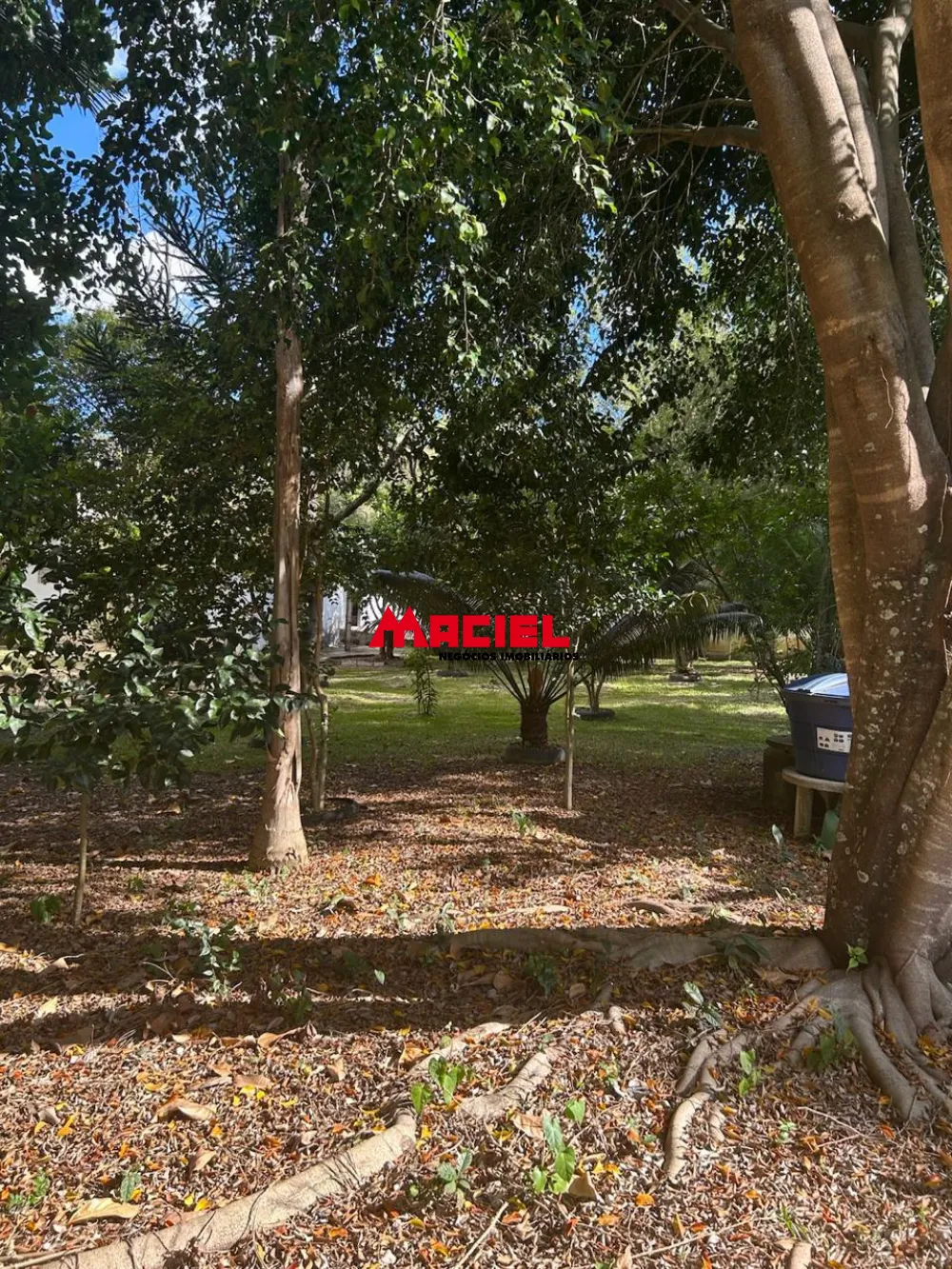 Comprar Rural / Ch&aacute;cara em S&atilde;o Jos&eacute; dos Campos R$ 650.000,00 - Foto 12