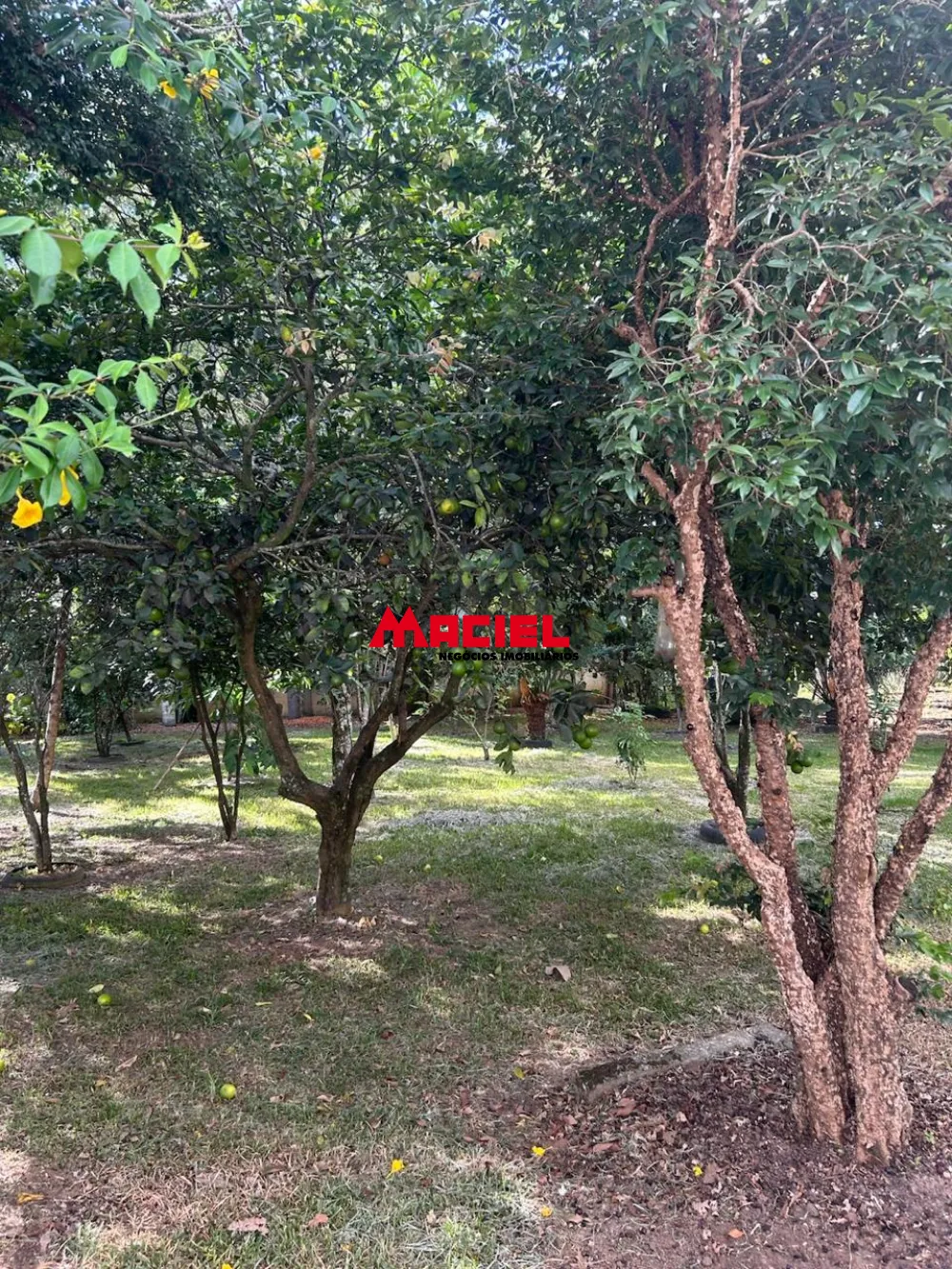 Comprar Rural / Ch&aacute;cara em S&atilde;o Jos&eacute; dos Campos R$ 650.000,00 - Foto 17