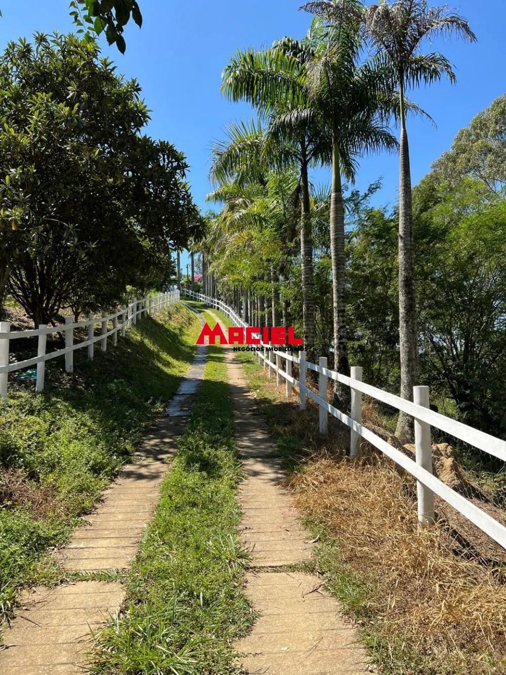 Comprar Rural / Fazenda, S&iacute;tio e Ch&aacute;cara em Paraibuna R$ 880.000,00 - Foto 20